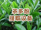 茶多酚提取項(xiàng)目
